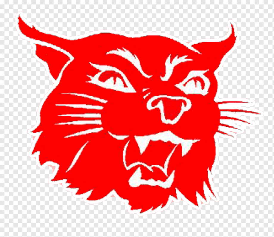 Harding Academy logo